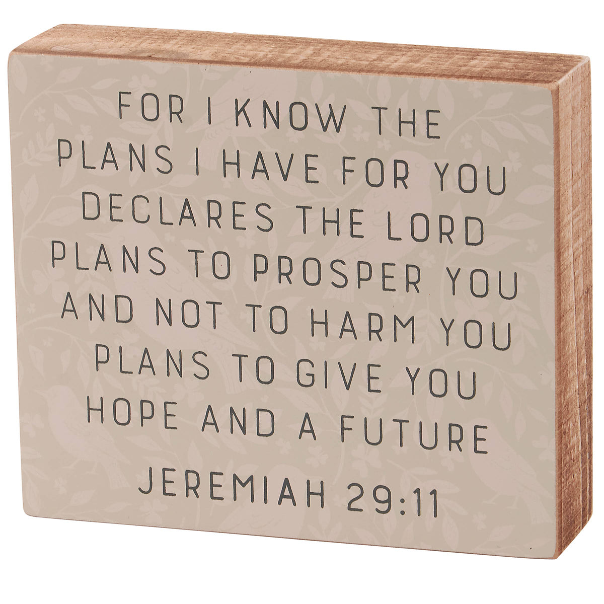 For I Know The Plans Box Sign